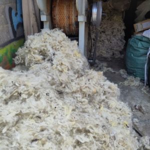 laine de mouton rembourrage