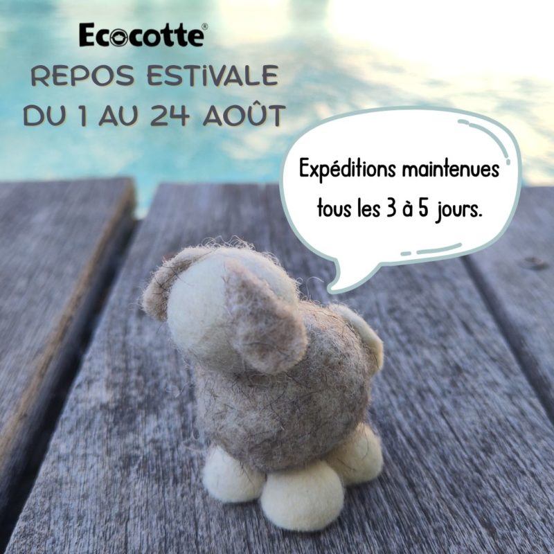 Mouton en laine face à une piscine avec message annonçant la pause estivale d’Ecocotte du 1er au 24 août 2025 et le maintien des expéditions tous les 3 à 5 jours.