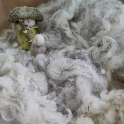 Laine brute locale et solidaire, récoltée et lavée en France, fournie dans les kits Ecocotte® (Essentiel et Écrin de Lin) pour la confection de marmites norvégiennes